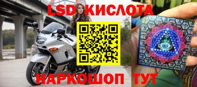 шишки Аргун