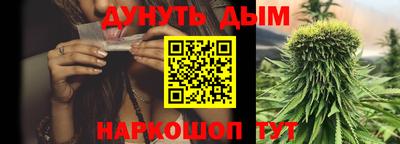 индика Рузаевка