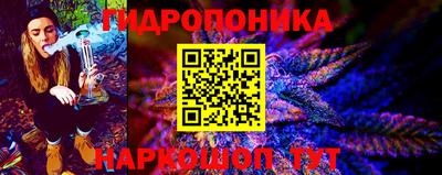индика Рузаевка