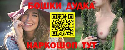 индика Рузаевка