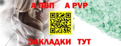 шишки Аргун