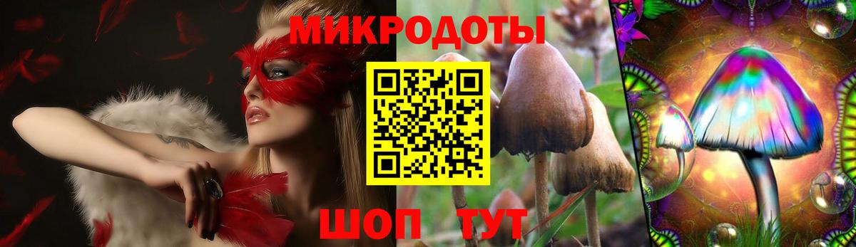 Галлюциногенные грибы Psilocybe  наркошоп  Спасск-Дальний  Вход с VPN  Галлюциногенные грибы Psilocybe 